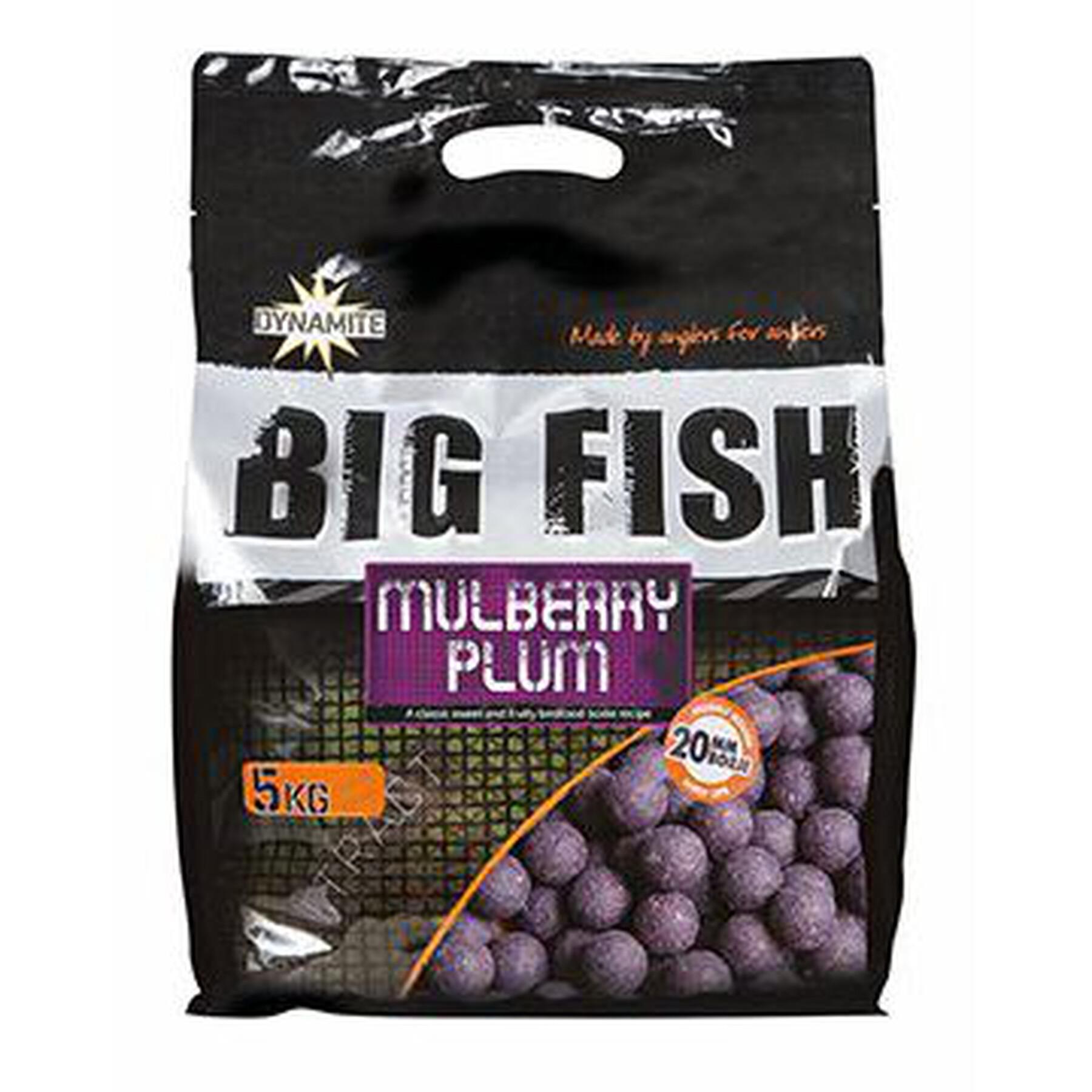 Boilies densos Dynamite Baits Mulberry plum 5 kg