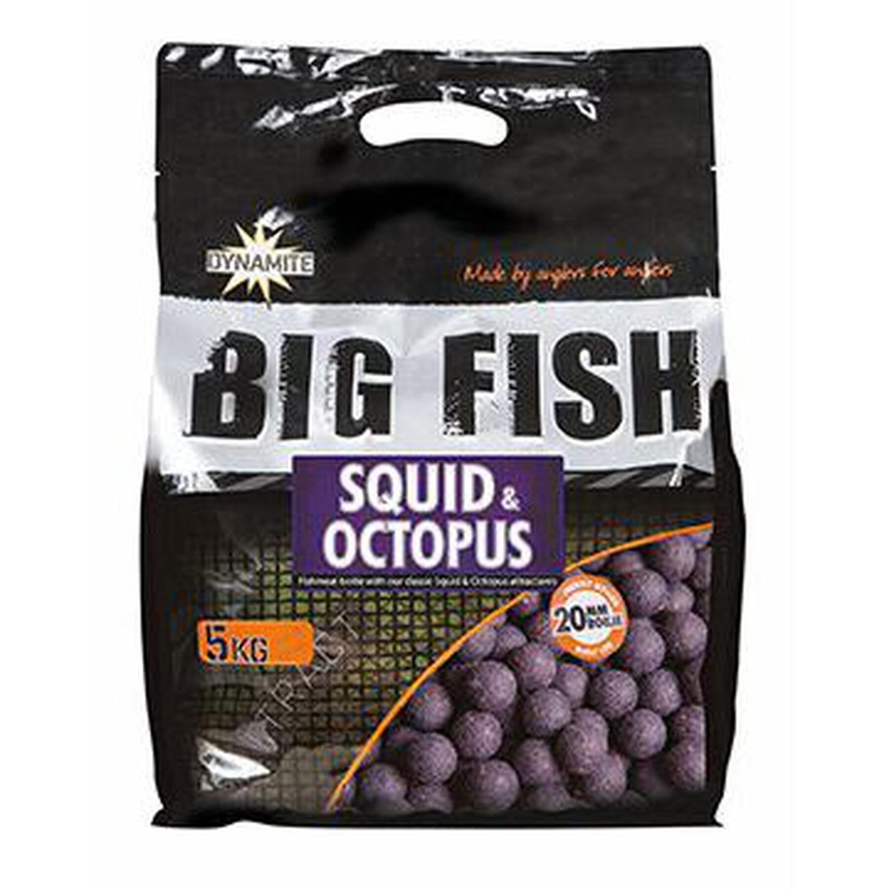 Boilies densos Dynamite Baits squid & octopus 20 mm 5 kg