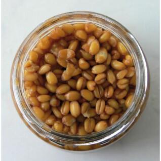Semillas de trigo cocidas Rameau 212 ml